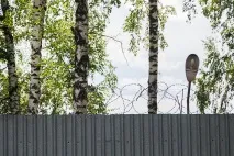 Батьківський день загального режиму чоловік
