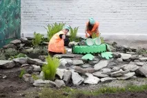 Батьківський день загального режиму день