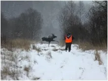 Рікошет - Виживання в дикій природі та екстремальних ситуаціяхВиживання в дикій природі та рікошет