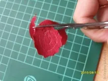 рози рози