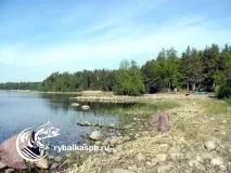 суходолское суходолское