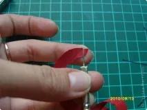 майсторите рози