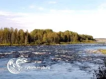 ленинградска риболов