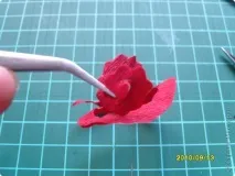 рози кръг