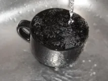 коледно избор