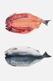 риба