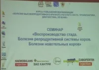 відтворення
