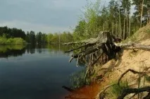Санаторії Рязані та Рязанської області з лікуванням ціни на 2019 рік області