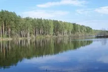 санаториумите област