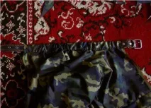 Сайт Річарда, золотистого ретрівера сайт