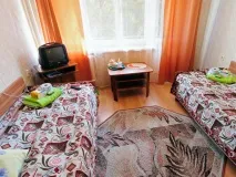 стаи стаи