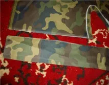 Сайт Річарда, золотистого ретрівера золотистого