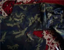 Сайт Річарда, золотистого ретрівера ретрівера