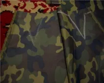 Сайт Річарда, золотистого ретрівера річарда