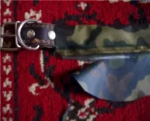 Сайт Річарда, золотистого ретрівера ретрівера