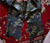 Сайт Річарда, золотистого ретрівера ретрівера