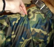 Сайт Річарда, золотистого ретрівера золотистого