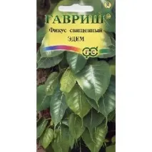 свещения свещения