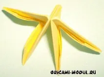 схема схема