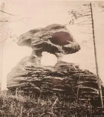 крила
