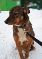 добри ръце
