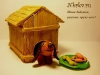 собаки