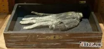 злодійські