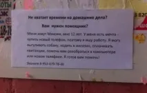 Смішні та прикольні оголошення, вивіски та написи (19 фото) вивіски