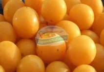 сиропі