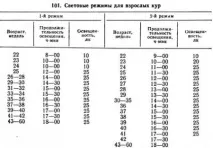 баби поддържане