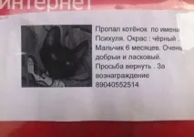 Смішні та прикольні оголошення, вивіски та написи (19 фото) смішні