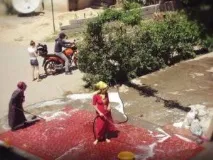 Сонник Палас на підлозі чистити, мити уві сні бачити до чого сниться палас