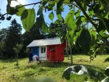 струваща само