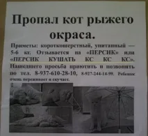 Смішні та прикольні оголошення, вивіски та написи (19 фото) смішні