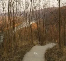 Сорокська фортеця фортеці