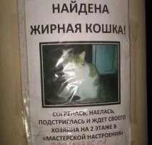 Смішні та прикольні оголошення, вивіски та написи (19 фото) смішні