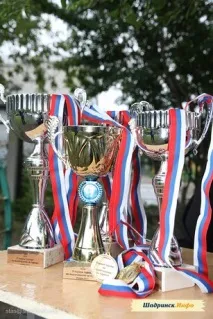 Змагання з підтягування на перекладині змагання