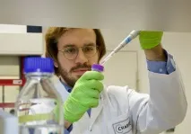 Стало відомо, як впливають на дітей американські гірки стало
