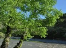 Сплав річкою Кура 19 фото з походу, Грузія фотогалерея, відео з маршруту кура