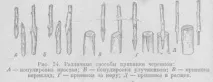 методи размножаване