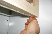 ленти видове