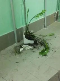Всичко това стрелба