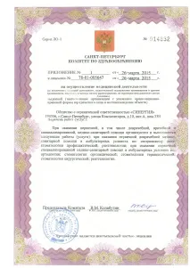 синергия професионална