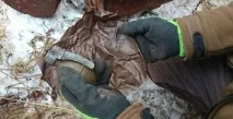 немски немски