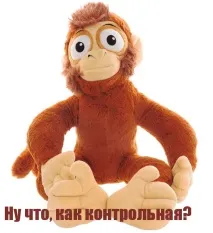 ТОП-12 найсмішніших м’яких іграшок іграшок