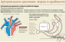 Прискорене серцебиття з похмілля що випити при тахікардія, препарати та рецепти випити