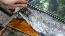 супа главата рибата