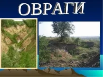 презентация презентация