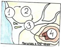 заобикалящия заобикалящия