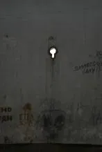 гората топка